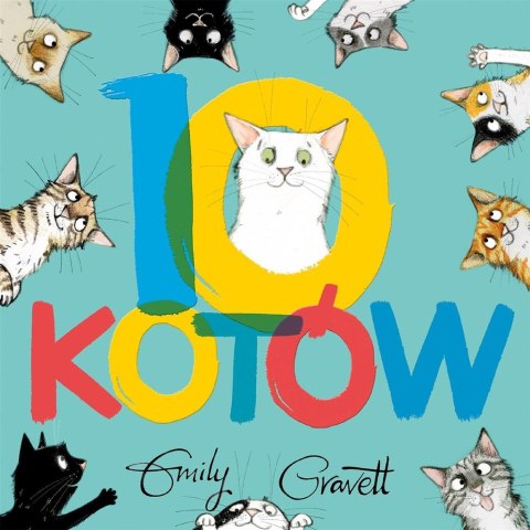 10 kotów 10 kotów